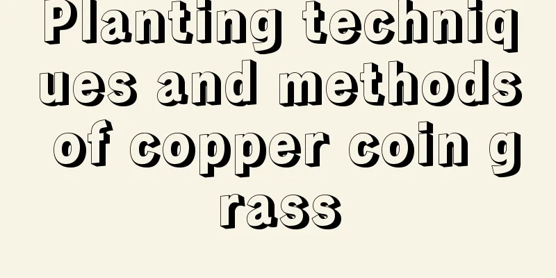 Planting techniques and methods of copper coin grass