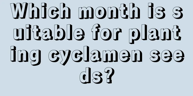 Which month is suitable for planting cyclamen seeds?