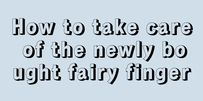 How to take care of the newly bought fairy finger