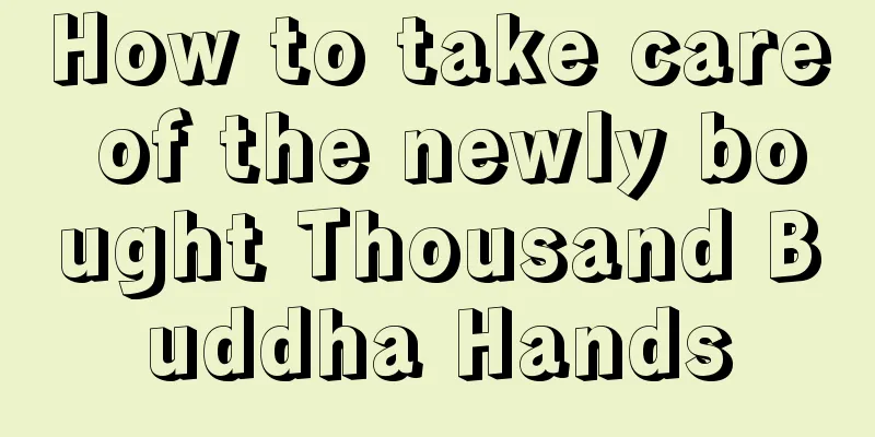 How to take care of the newly bought Thousand Buddha Hands