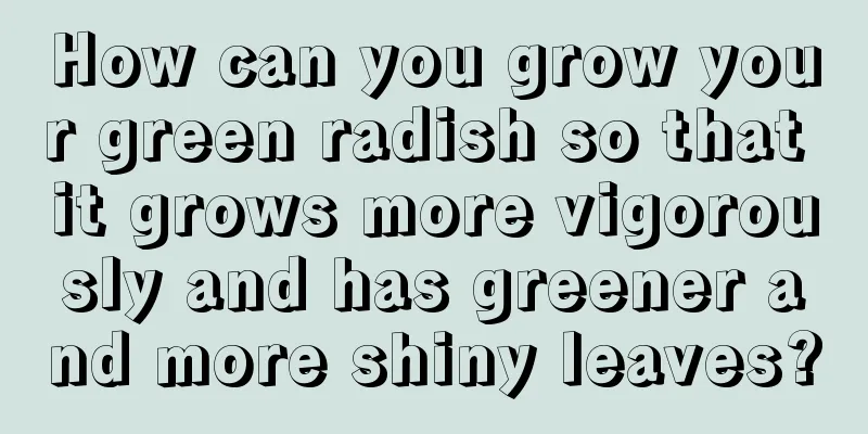 How can you grow your green radish so that it grows more vigorously and has greener and more shiny leaves?