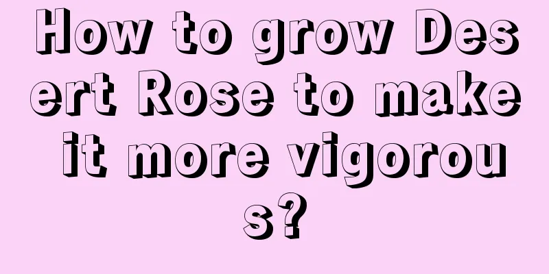 How to grow Desert Rose to make it more vigorous?