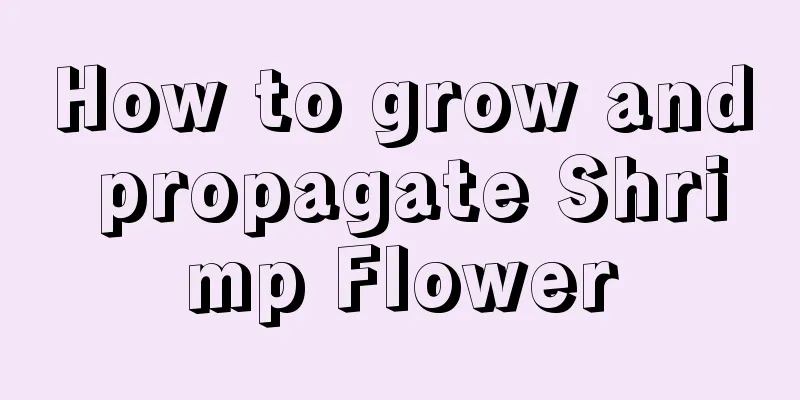 How to grow and propagate Shrimp Flower