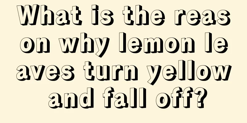 What is the reason why lemon leaves turn yellow and fall off?