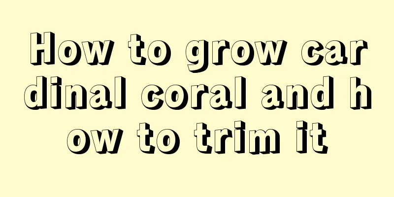 How to grow cardinal coral and how to trim it