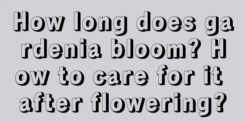 How long does gardenia bloom? How to care for it after flowering?