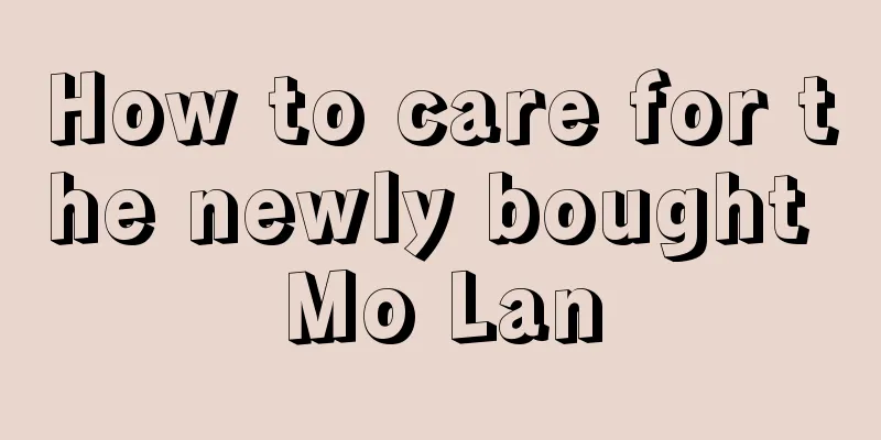 How to care for the newly bought Mo Lan