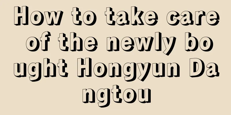 How to take care of the newly bought Hongyun Dangtou