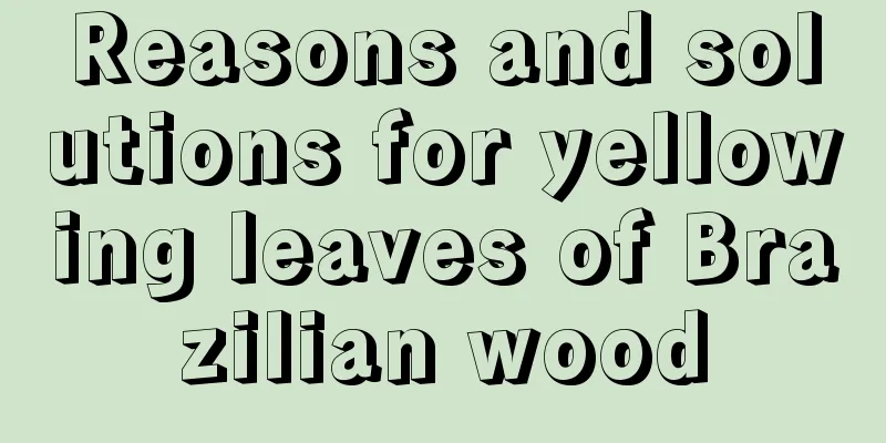 Reasons and solutions for yellowing leaves of Brazilian wood