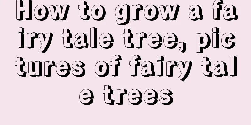 How to grow a fairy tale tree, pictures of fairy tale trees