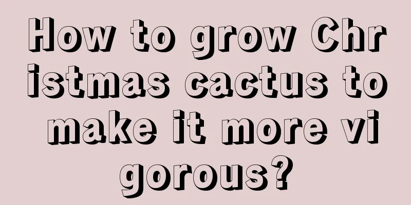 How to grow Christmas cactus to make it more vigorous?