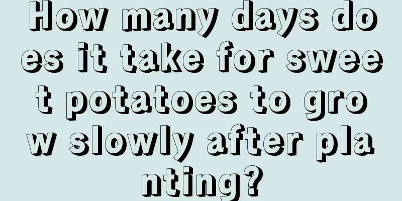 How many days does it take for sweet potatoes to grow slowly after planting?