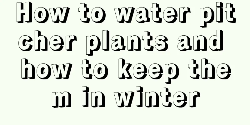 How to water pitcher plants and how to keep them in winter