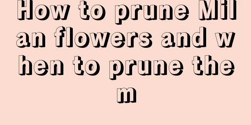 How to prune Milan flowers and when to prune them