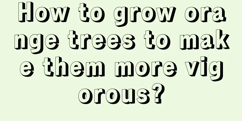 How to grow orange trees to make them more vigorous?