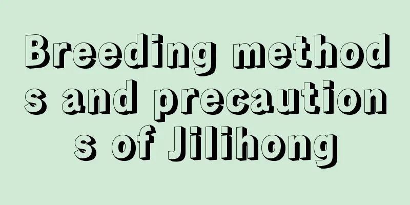 Breeding methods and precautions of Jilihong