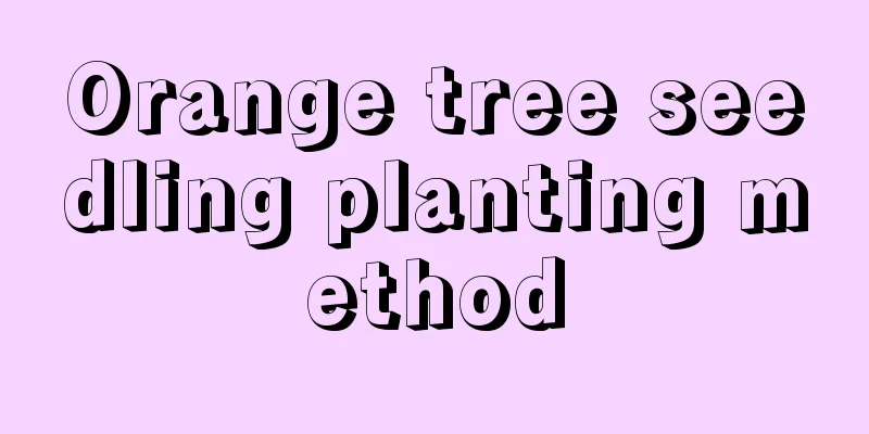 Orange tree seedling planting method