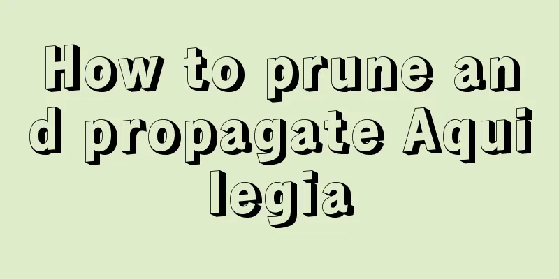 How to prune and propagate Aquilegia