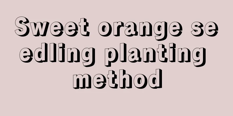 Sweet orange seedling planting method