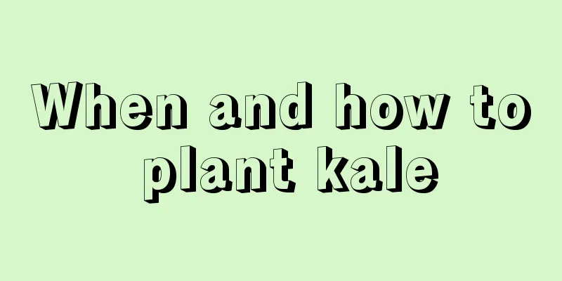 When and how to plant kale