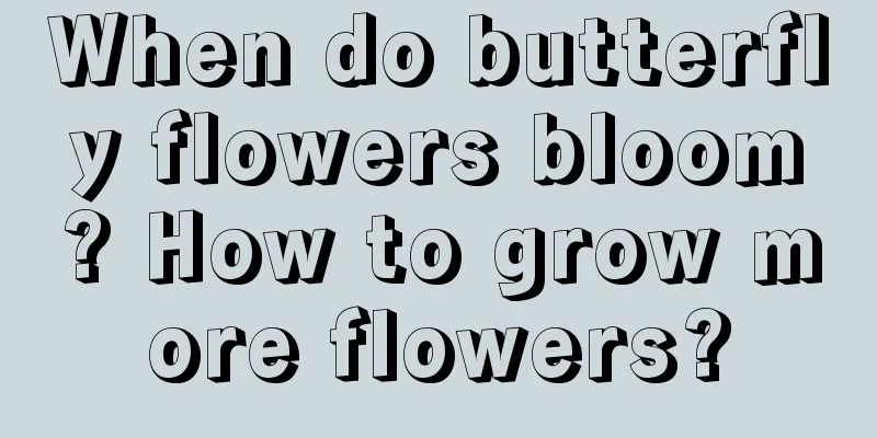 When do butterfly flowers bloom? How to grow more flowers?