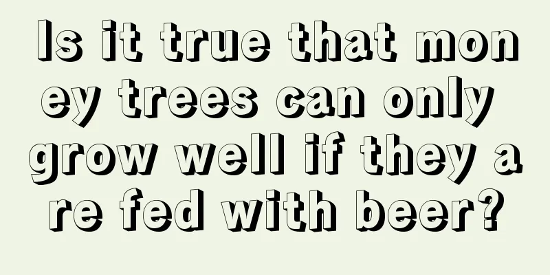 Is it true that money trees can only grow well if they are fed with beer?