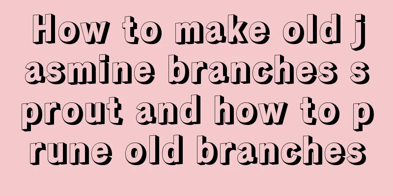 How to make old jasmine branches sprout and how to prune old branches