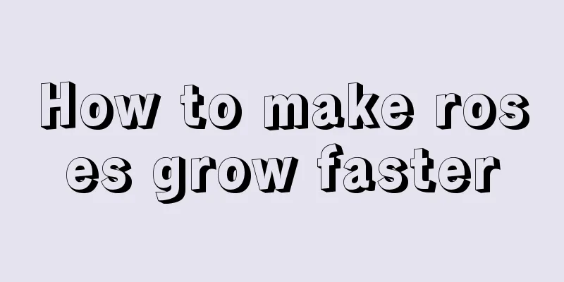 How to make roses grow faster