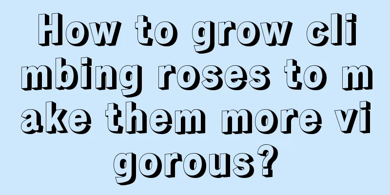 How to grow climbing roses to make them more vigorous?