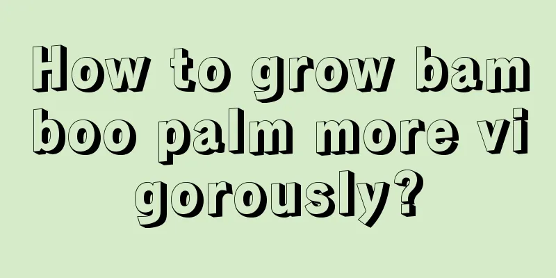 How to grow bamboo palm more vigorously?