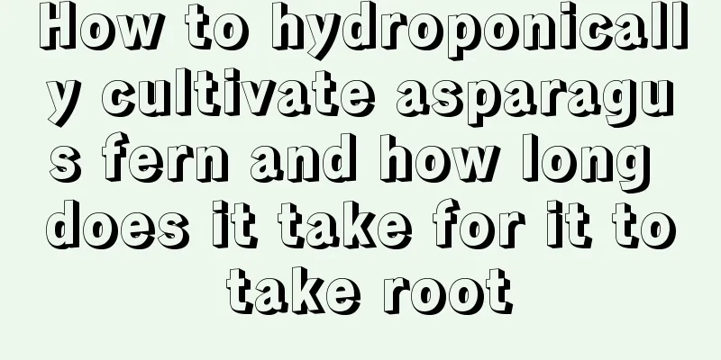 How to hydroponically cultivate asparagus fern and how long does it take for it to take root