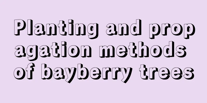 Planting and propagation methods of bayberry trees