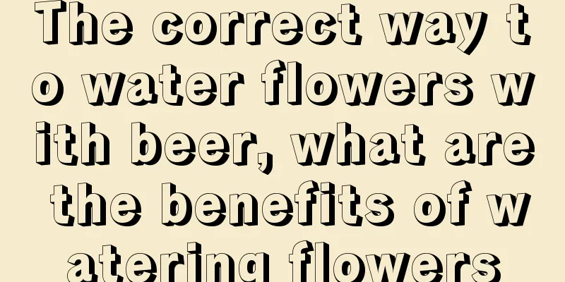 The correct way to water flowers with beer, what are the benefits of watering flowers