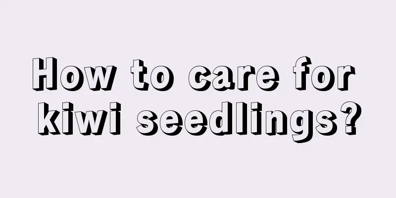 How to care for kiwi seedlings?