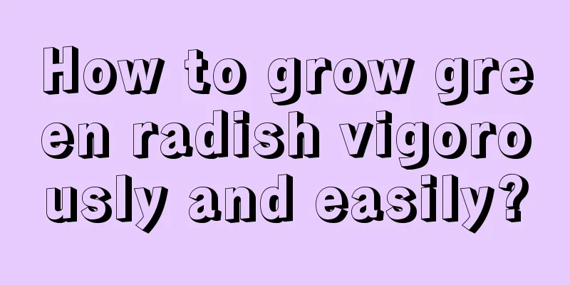 How to grow green radish vigorously and easily?