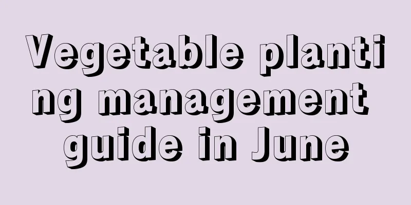 Vegetable planting management guide in June