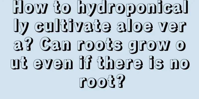 How to hydroponically cultivate aloe vera? Can roots grow out even if there is no root?