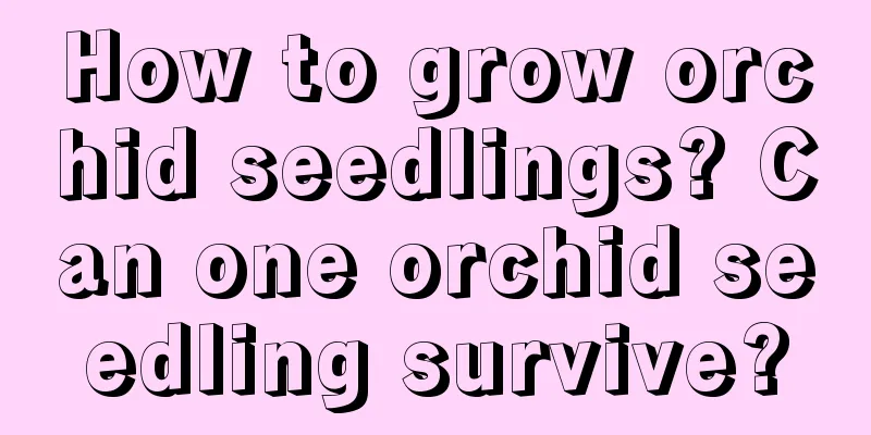 How to grow orchid seedlings? Can one orchid seedling survive?