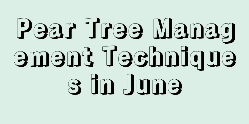 Pear Tree Management Techniques in June