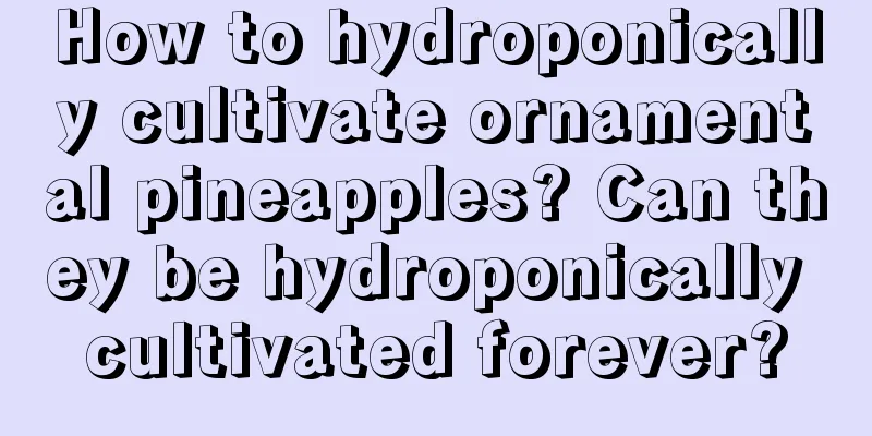 How to hydroponically cultivate ornamental pineapples? Can they be hydroponically cultivated forever?