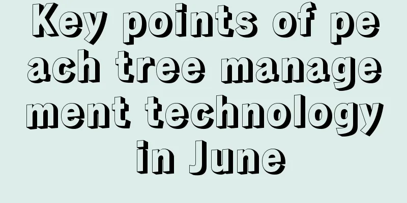 Key points of peach tree management technology in June