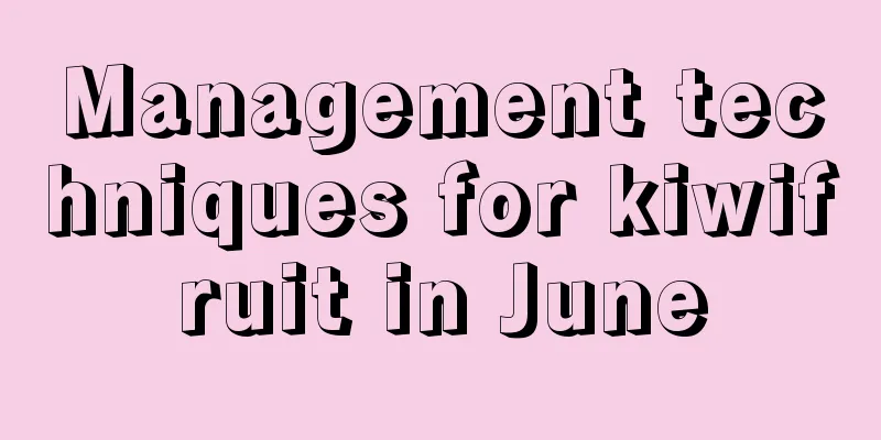 Management techniques for kiwifruit in June