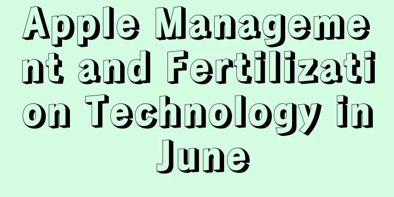 Apple Management and Fertilization Technology in June