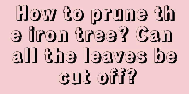 How to prune the iron tree? Can all the leaves be cut off?