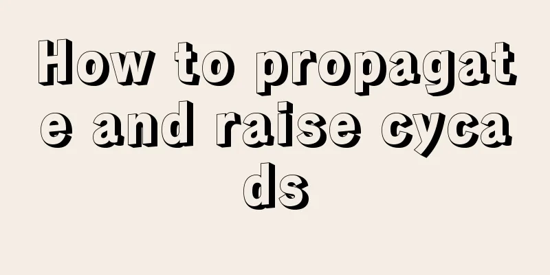 How to propagate and raise cycads