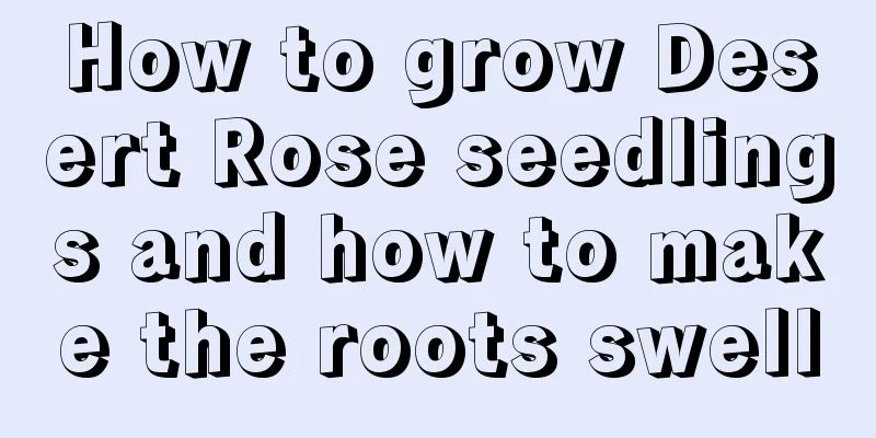 How to grow Desert Rose seedlings and how to make the roots swell