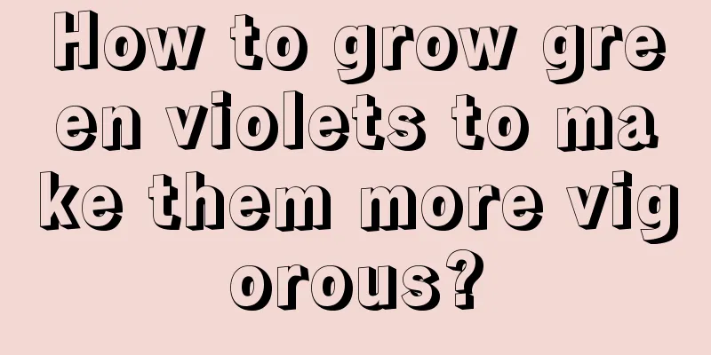 How to grow green violets to make them more vigorous?