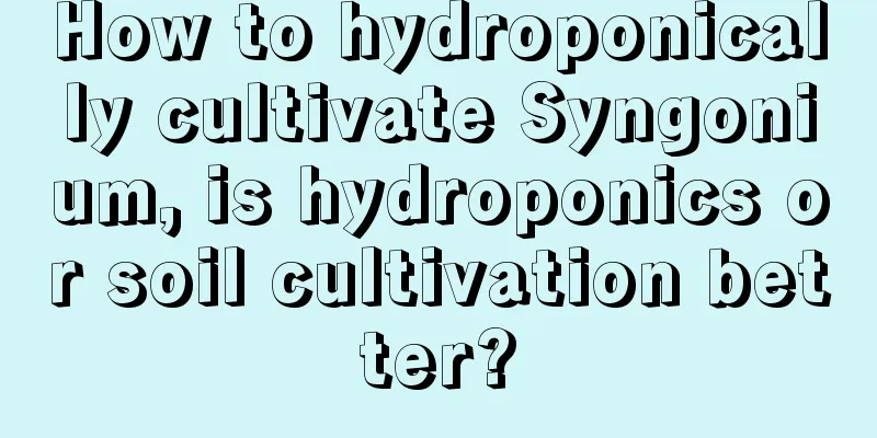 How to hydroponically cultivate Syngonium, is hydroponics or soil cultivation better?