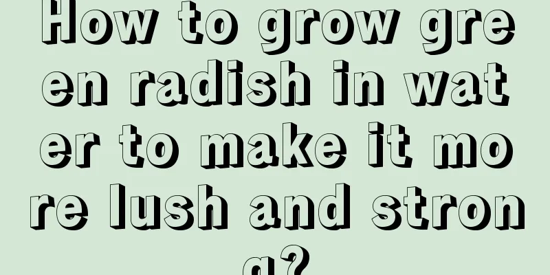 How to grow green radish in water to make it more lush and strong?