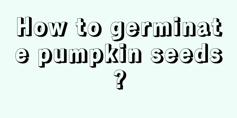 How to germinate pumpkin seeds?